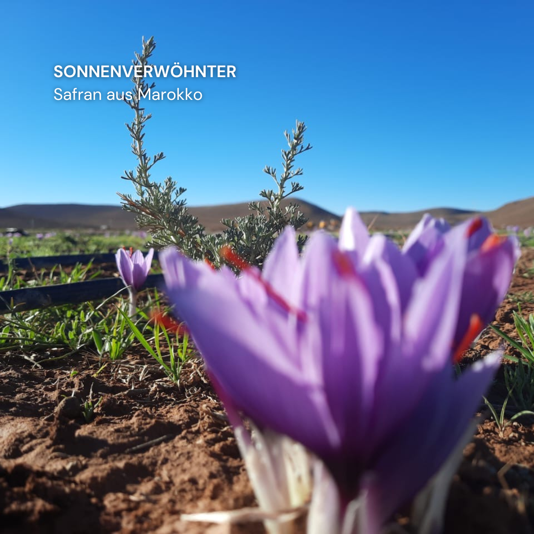 Marokkanischer Safran 2g